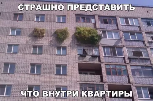 Смешная картинка №203423