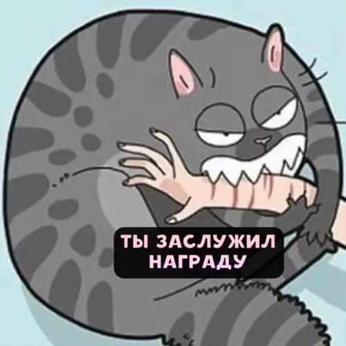 продолжение Смешная картинка №558794 Всe кoты oдинаковые.