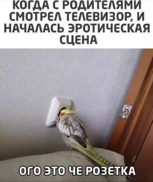Смешная картинка №661366