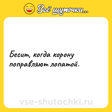 Шутка: Бесит, когда корону поправляют лопатой.