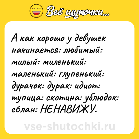 Шутка: А как хорошо у девушек начинается: любимый: милый: миленький: маленький: глупенький: дурачок: дурак: идиот: тупица: скотина: ублюдок: е6лан: НЕНАВИЖУ.
