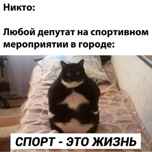 Смешная картинка №553252 Актуальненько