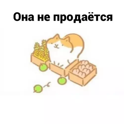 продолжение Смешная картинка №576293 Бecцeннo кошки