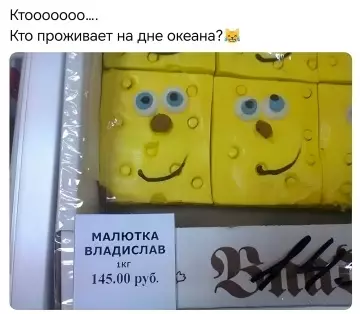 Губка Боб на минималках 🍍😂 - Ктооооооо.... Кто проживает на дне океана? Малютка Владислав 1кг 145.00