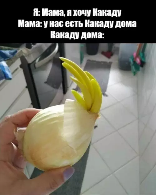 Смешная картинка №655700 у нас дома