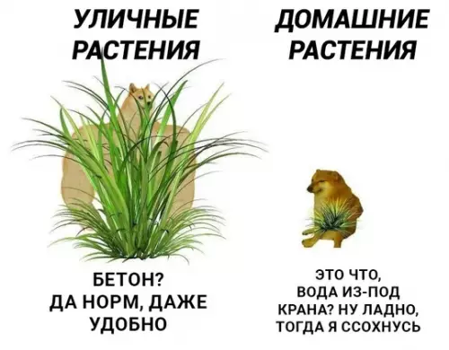 Смешная картинка №755948
