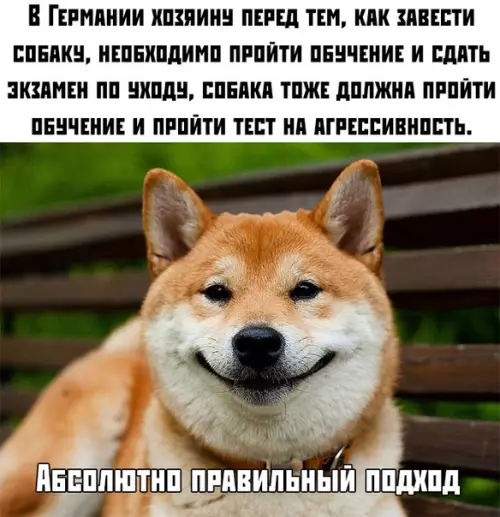 Смешная картинка №387422