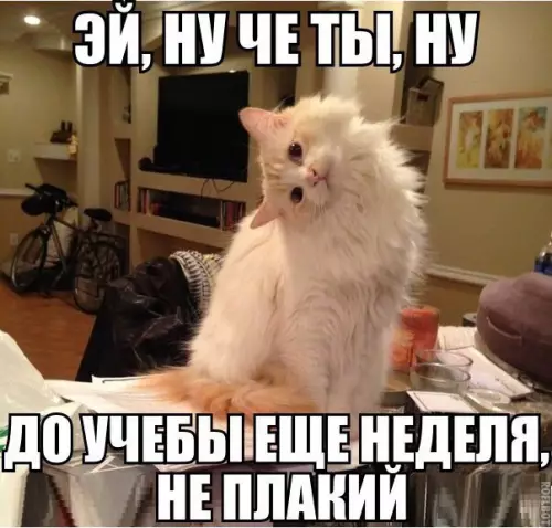Смешная картинка №202633