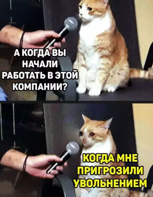 Смешная картинка №668950