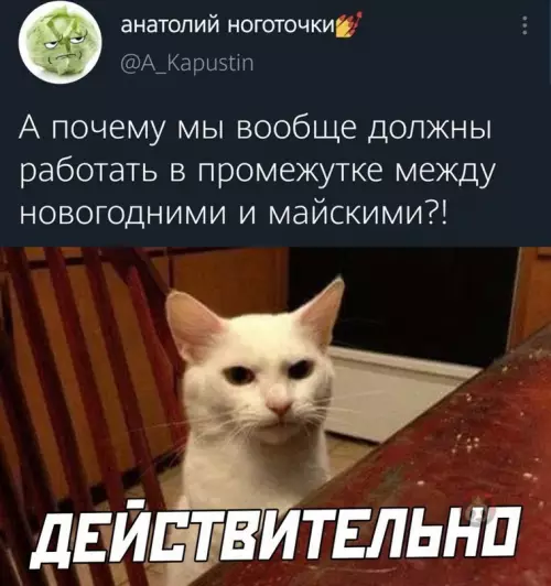 Смешная картинка №616802 Действительно почему?!