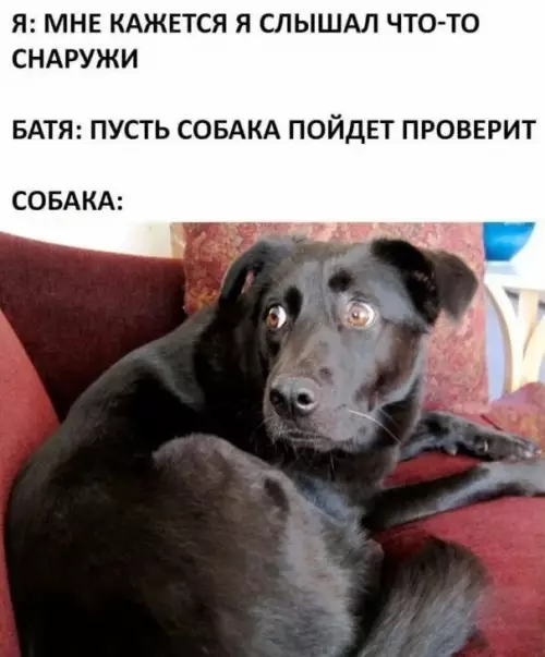 Смешная картинка №681553