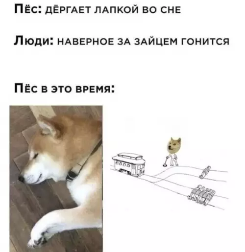 Смешная картинка №663280