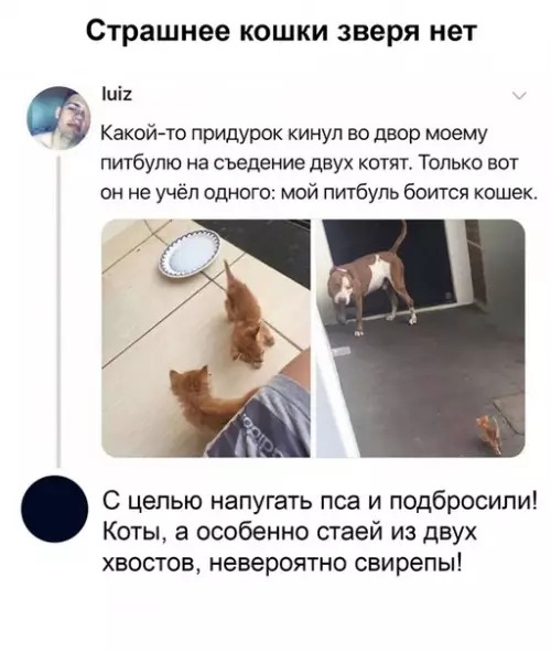 Смешная картинка №395258