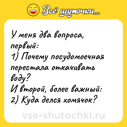 Шутка: У меня два вопроса, первый:<br>1) Почему посудомоечная перестала откачивать воду?<br>И второй, более важный:<br>2) Куда делся хомячок?