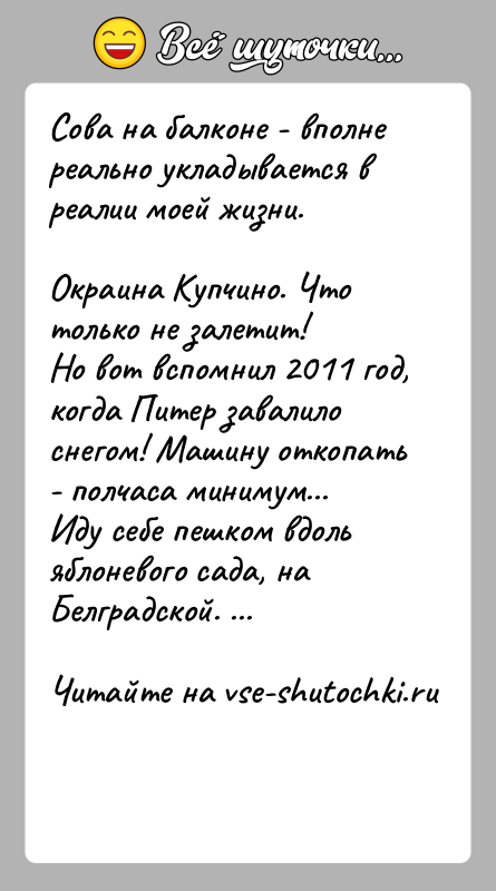 История: Сова на балконе - вполне реально укладывается в реалии моей жизни. Окраина Купчино. Что только не залетит!Но вот вспомнил 2011