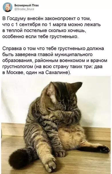 Смешная картинка №516862 новости, которые мы заслужили осень, работа