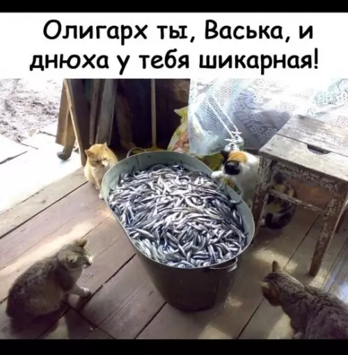Смешная картинка №778484