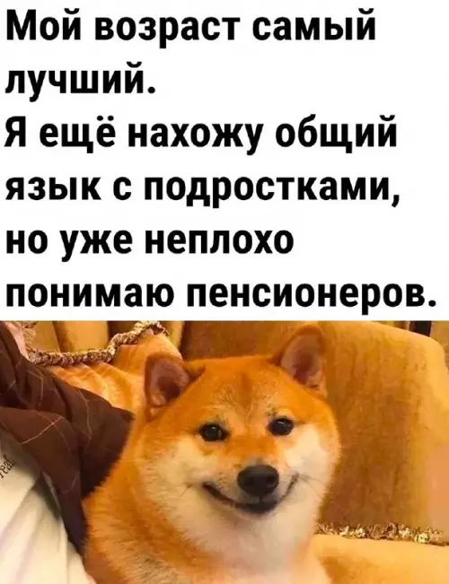 Смешная картинка №709881