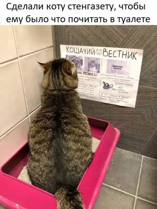 Смешная картинка №688478