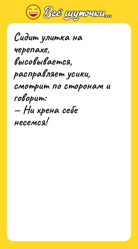 Сидит улитка на черепахе, высовывается, расправляет усики, смотрит по сторонам