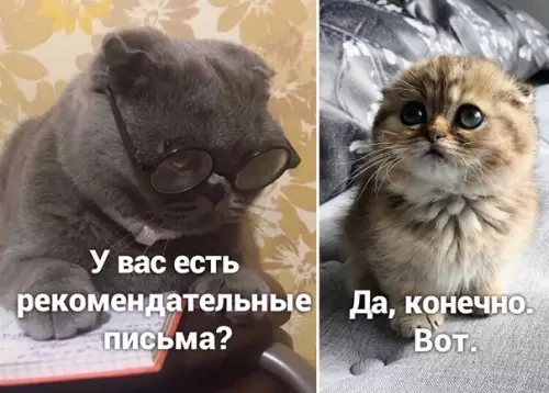 Смешная картинка №506630