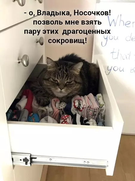 Смешная картинка №505136 Владыка сегодня несговорчив