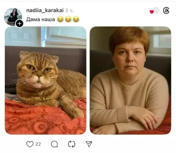 продолжение Смешная картинка №802182