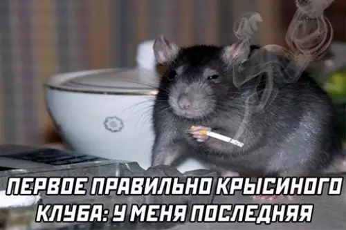 Смешная картинка №640737