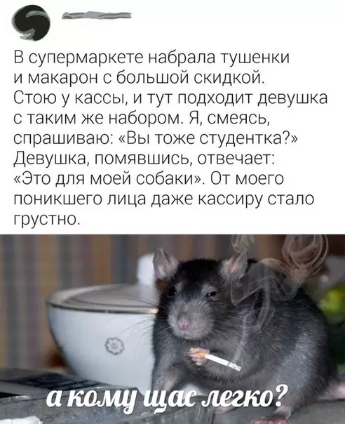 Смешная картинка №454287 Как тяжко жить в России)))