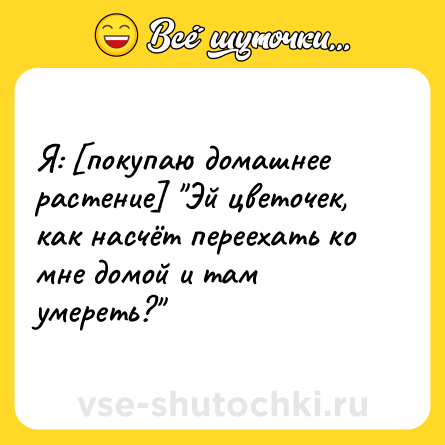 Шутка: Я: [покупаю домашнее растение] 