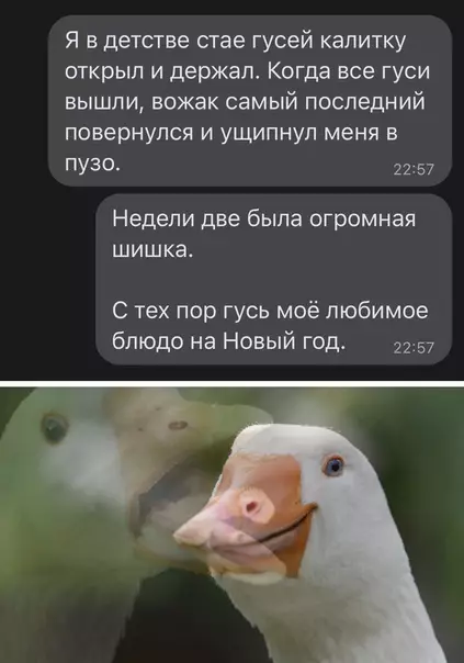 Смешная картинка №600229