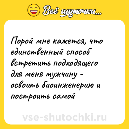 Шутка: Порой мне кажется, что единственный способ встретить подходящего для меня мужчину - освоить биоинженерию и построить самой