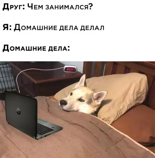 Смешная картинка №540049