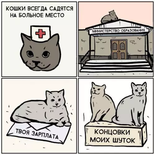 Смешная картинка №305927 Кошки