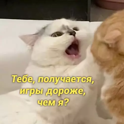 продолжение Смешная картинка №657641