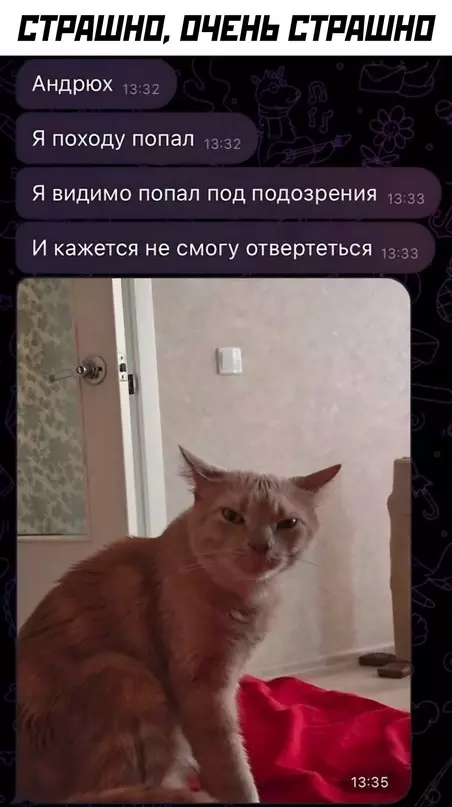 Смешная картинка №707625 Коты