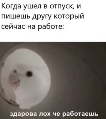 Смешная картинка №800785