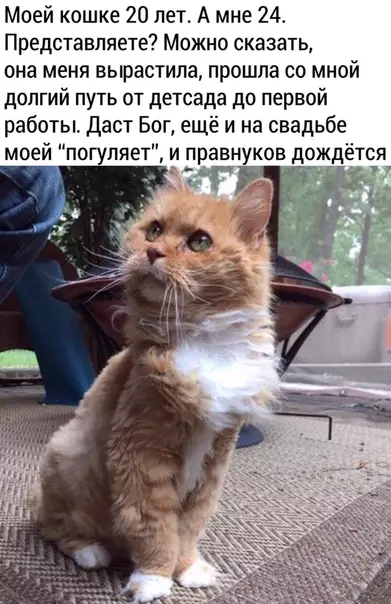 Смешная картинка №484452