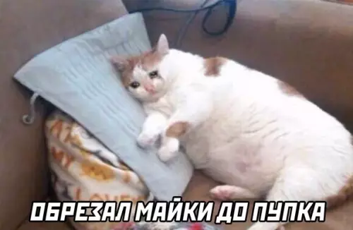 продолжение Смешная картинка №566791