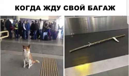 Смешная картинка №286385