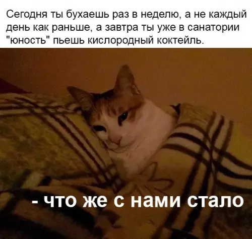 Смешная картинка №363255