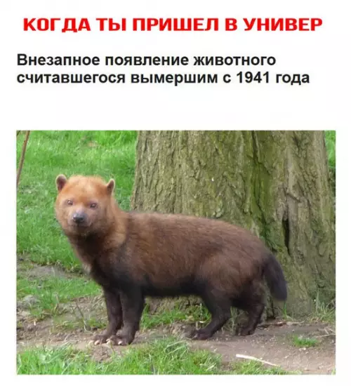Смешная картинка №262360
