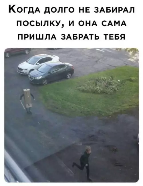 Смешная картинка №741625 Стоять!