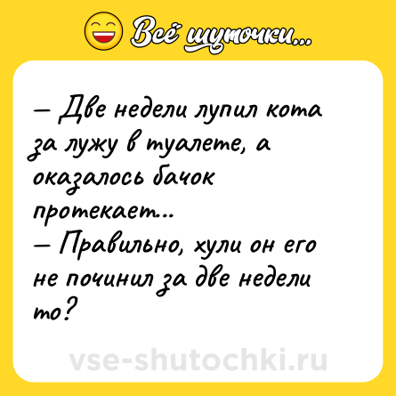 Шутка: — Две недели лупил кота за лужу в туалете, а оказалось бачок протекает...<br>— Правильно, хули он его не починил за две недели то?