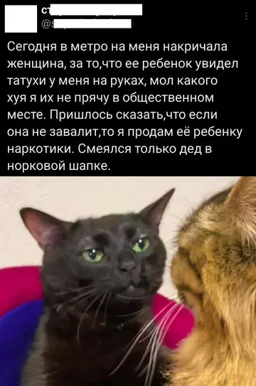 Смешная картинка №743619