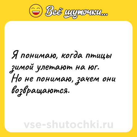 Шутка: Я понимаю, когда птицы зимой улетают на юг. <br>Но не понимаю, зачем они возвращаются.