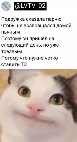 Смешная картинка №667694