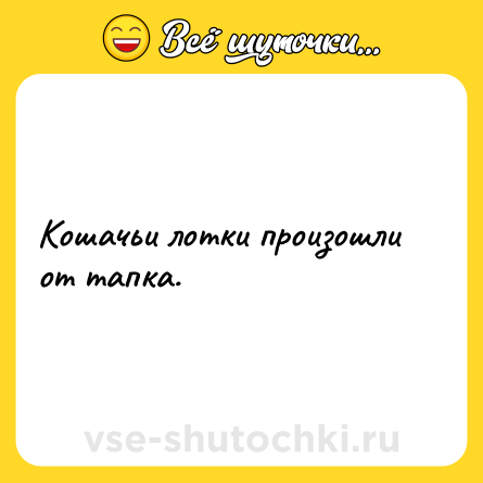 Шутка: Кошачьи лотки произошли от тапка.