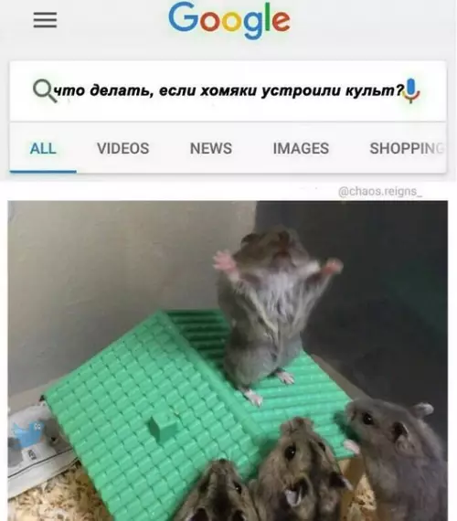 Смешная картинка №258385