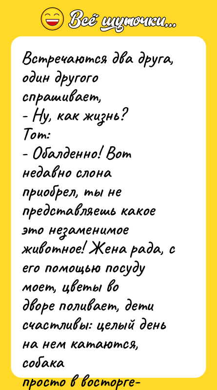 Встречаются два друга, один другого спрашивает, - Ну, как жизнь?